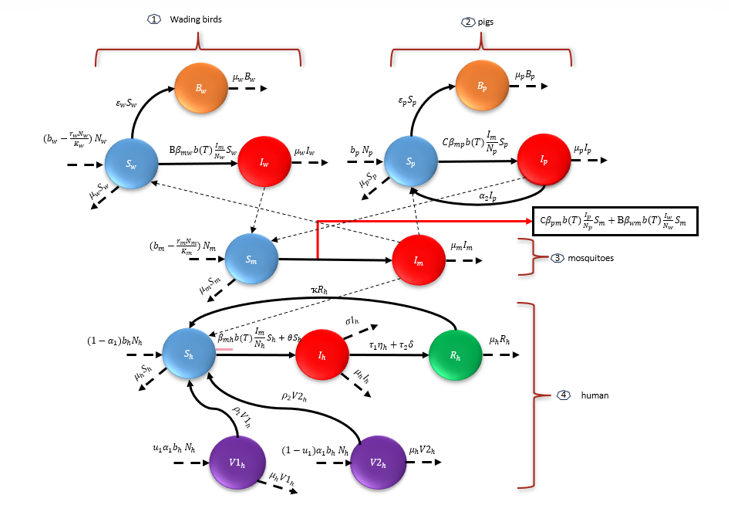 Japanese Encephalitis Model